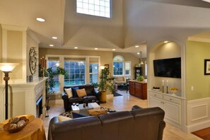 TV, fireplace, books