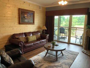 Télévision, cheminée, jeux vidéo, lecteur de DVD