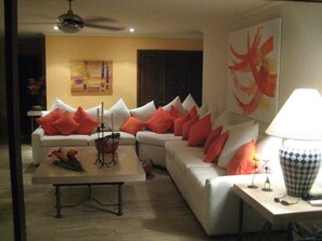 TV, video games, DVD player, books