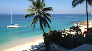 A beach view with a sailboat, palm trees, and a clear sky.