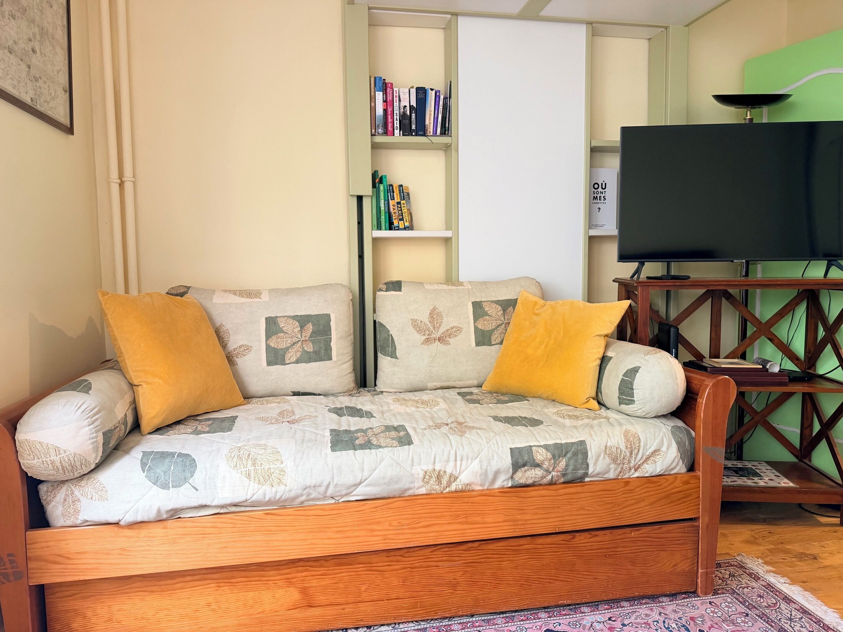 A living room with a sofa, a bookshelf, a television, and a patterned rug.