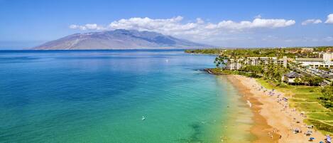Plage à proximité, chaises longues, serviettes de plage