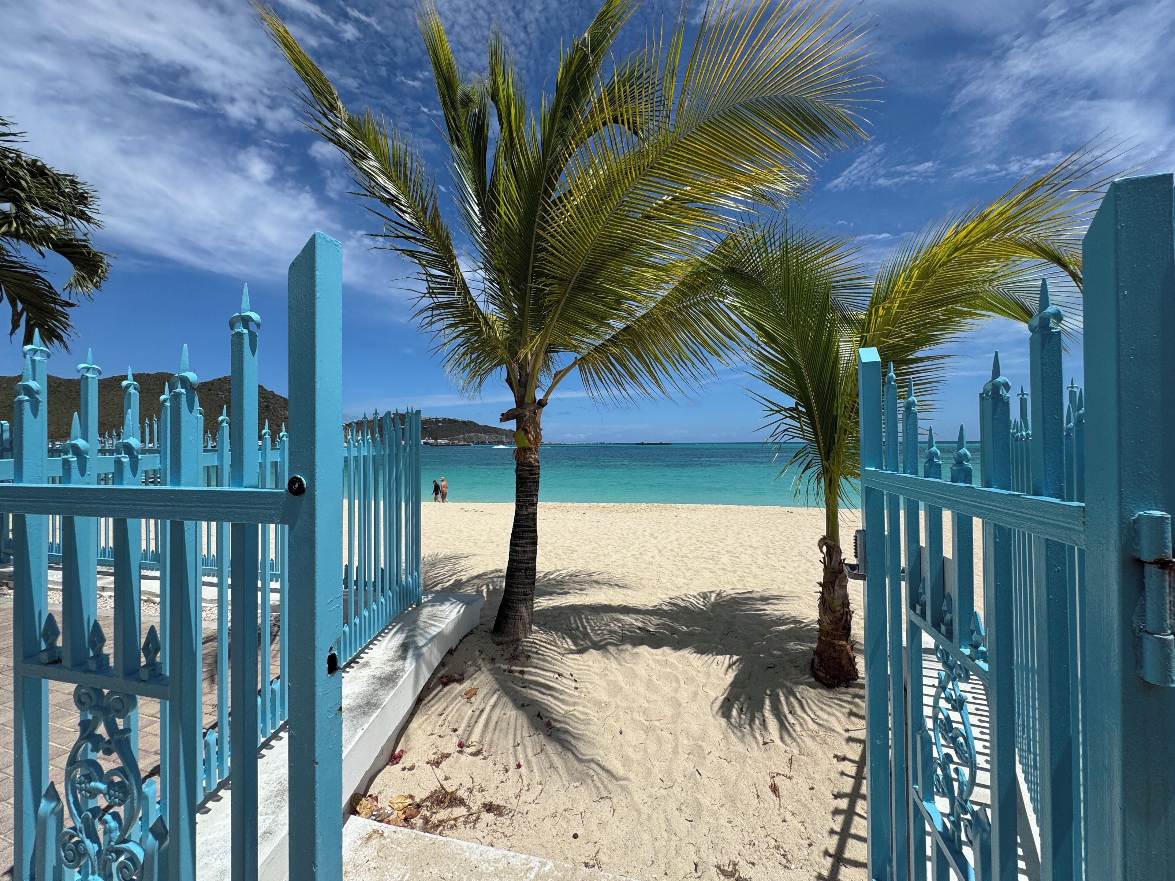 A beach with a blue gate leading to the sand, palm trees, and a clear view of the ocean.