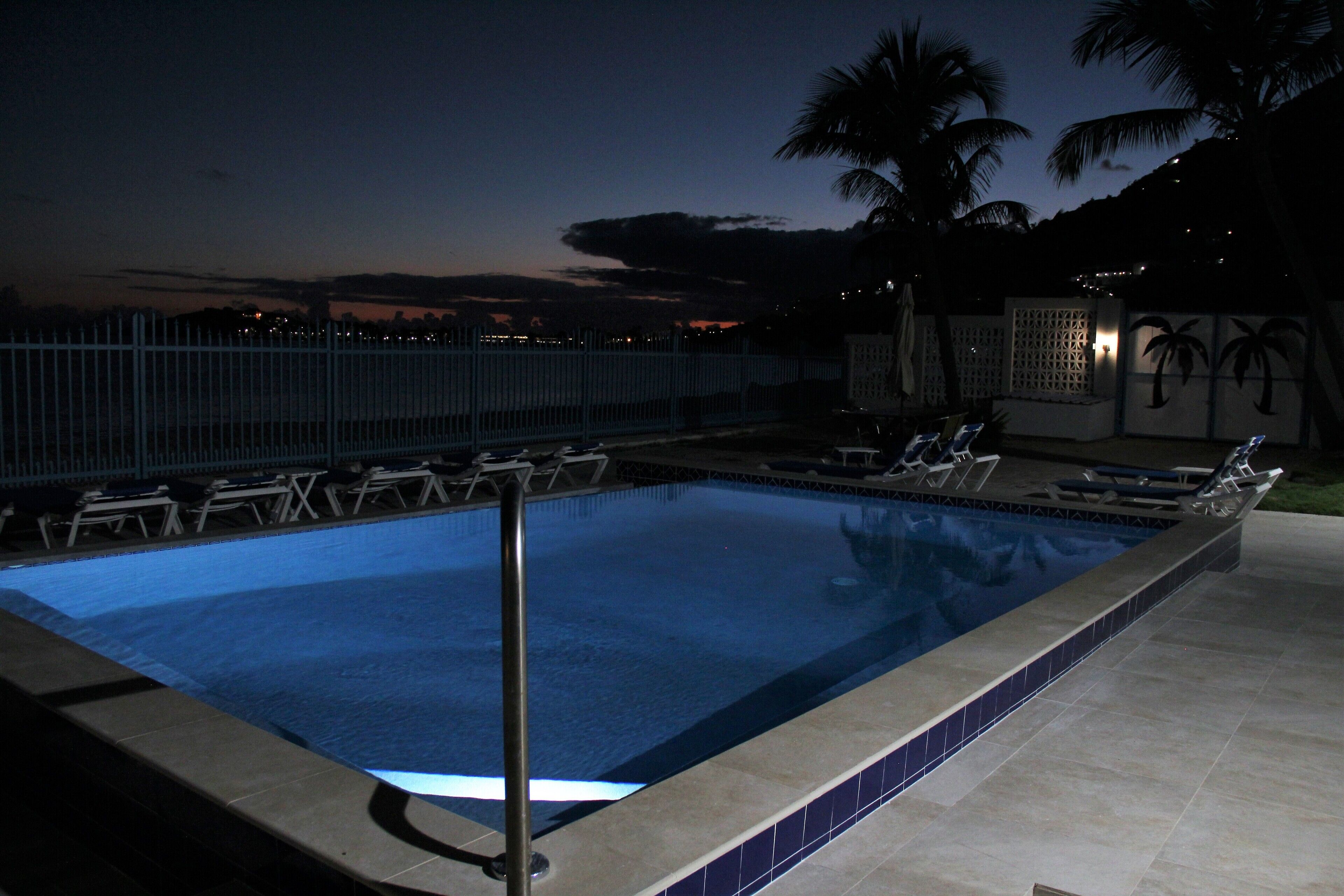 A swimming pool with lounge chairs and a fence, surrounded by palm trees and a night sky.