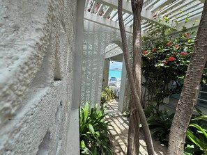 A covered walkway with a concrete wall, a palm tree, and a view of a building in the distance.
