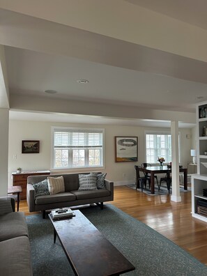 Älytelevisio, takka, kirjoja