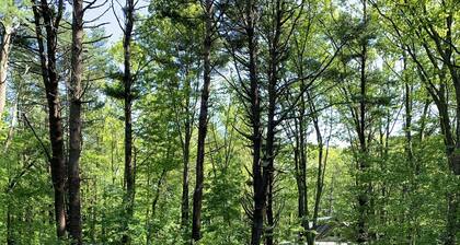 Lapsiystävällinen koti lähellä kaikkia pyöriäisiä ja Kennebunkportia on tarjottavanaan!