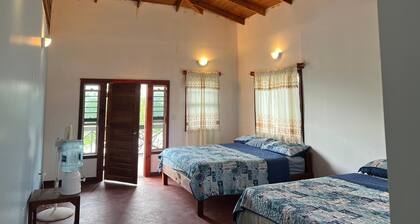 Spend time on a Private Island in Belize, Fish, Snorkel & Dive - King Size Beds