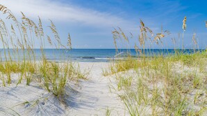 A beach path with sand and tall grasses leading to the ocean. - Amazing Views! Beachfront Home Sleeps 16-Private Pool & Private Beach! (Gulf Shores)