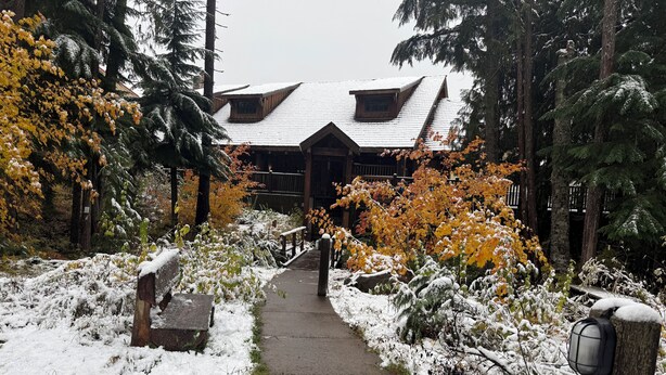 A snow-covered pathway leading to a building with a sloped roof, surrounded by trees and shrubs. - Ideal location in Collins Lake, close to pool with views of Forest & the Slopes (Government Camp)