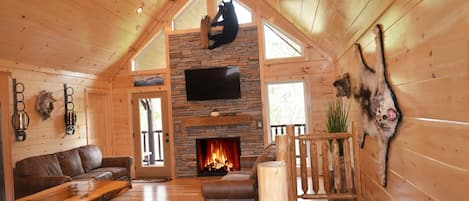 Smart-TV, Kamin, Videospiele, Videothek