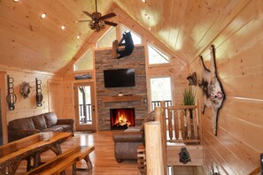 TV connectée, cheminée, jeux vidéo, vidéothèque