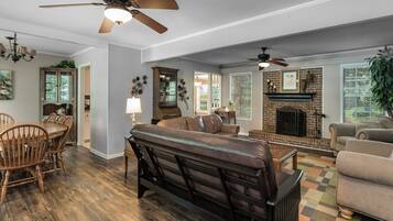 TV connectée, cheminée, jeux vidéo, lecteur de DVD