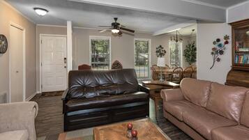 智能電視、壁爐、電子遊戲、DVD 播放機