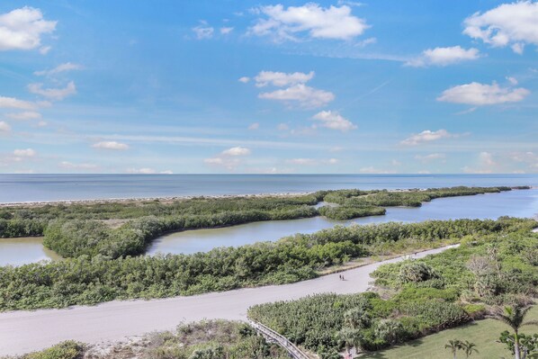 A coastal landscape with a boardwalk, dense vegetation, and a clear sky.