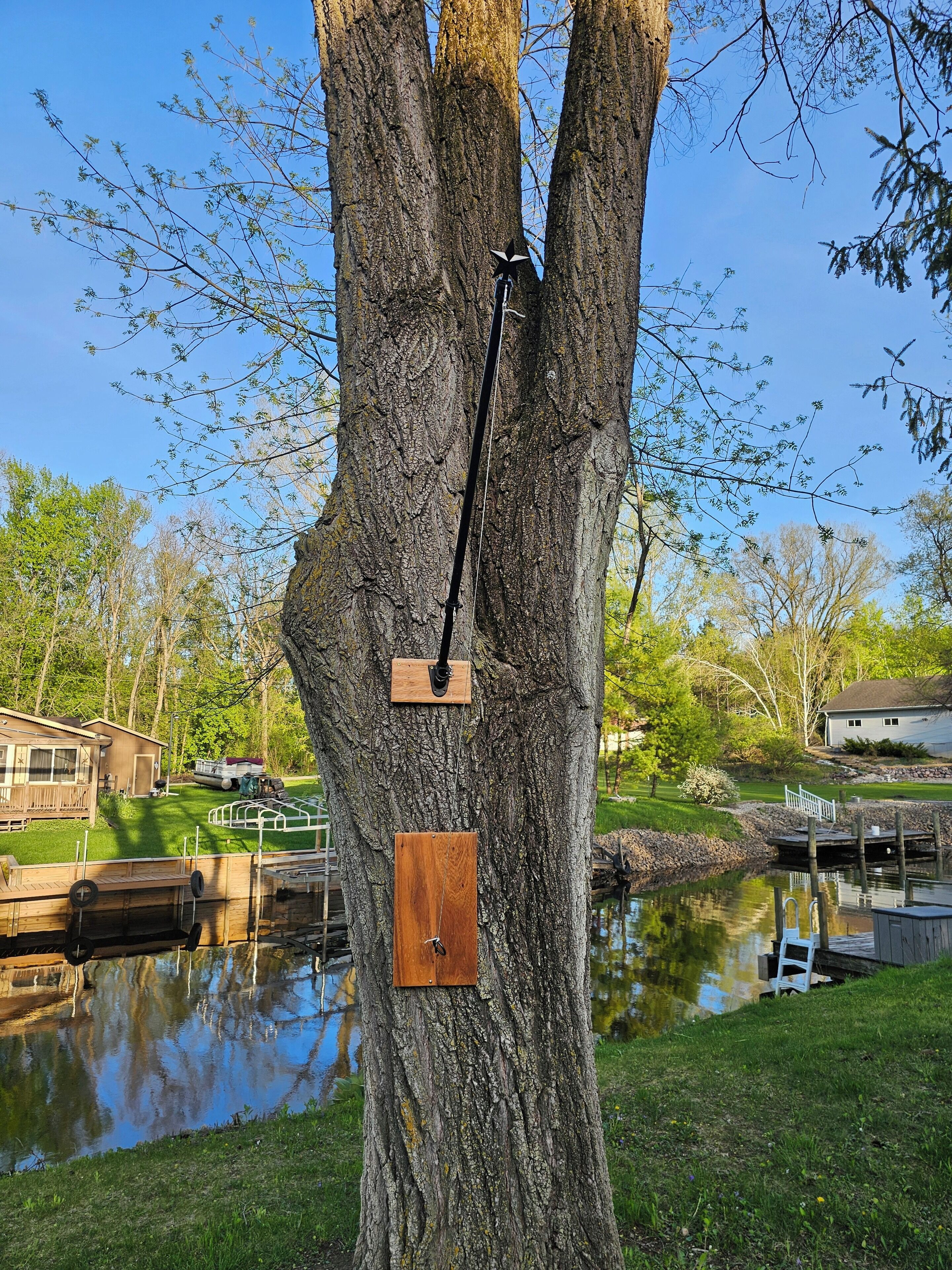 A large tree with two wooden plaques attached to it, a dock extending into a calm body of water, and a house in the background.
