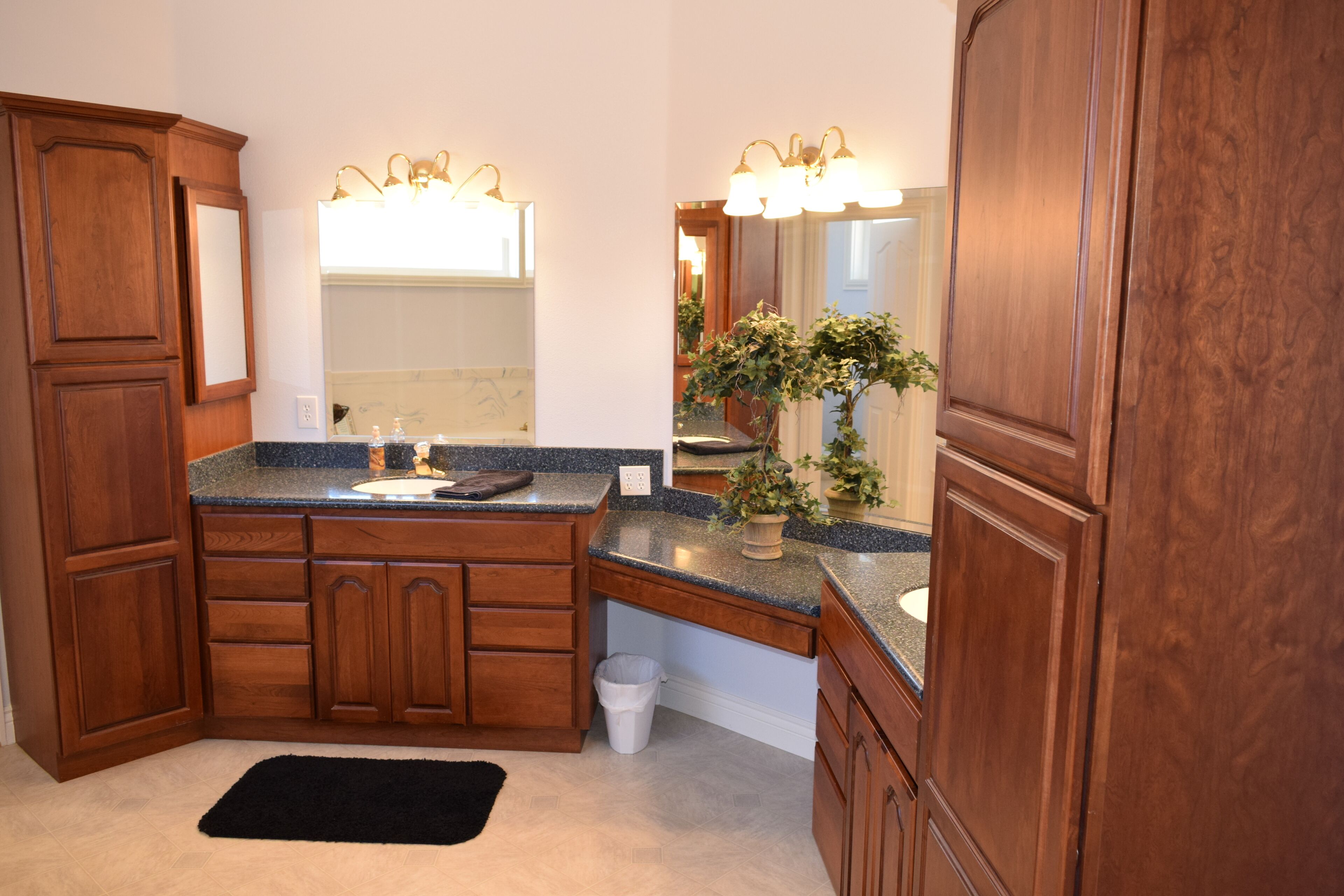 A bathroom with wooden cabinetry, a granite countertop, a sink with a mirror above, and a potted plant on the counter.