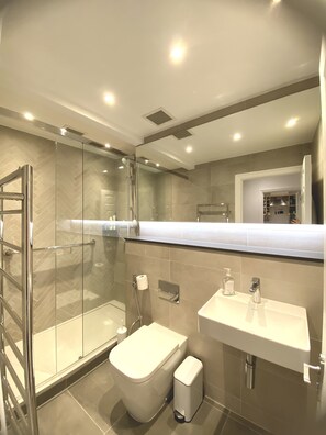 Shower, hair dryer, towels, soap