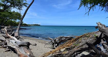 ¡Buena ubicación! A poca distancia de Hilton, tiendas y playa.