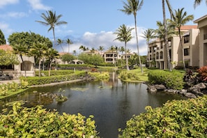 Jardines del alojamiento