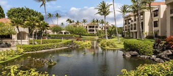 Super endroit! À distance de marche de Hilton, des magasins et de la plage.
