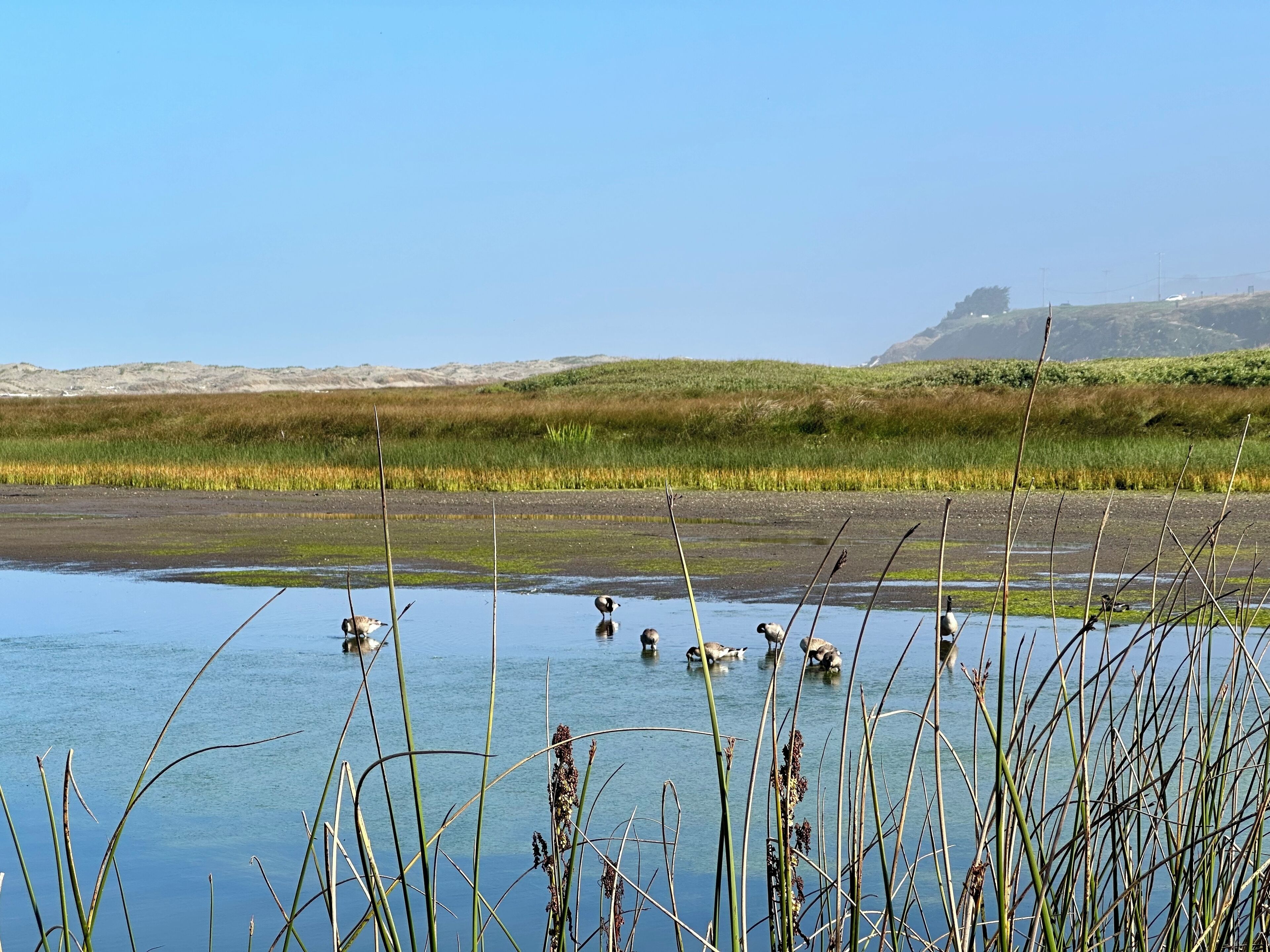 South Salmon Creek … less than 10 min drive north.