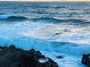 A coastal scene with waves crashing against dark rocks. - Waterfront 2 Bed-King/Queen , 2 Bath + INCREDIBLE VIEWS perched  over Bodega Bay (Bodega Bay)