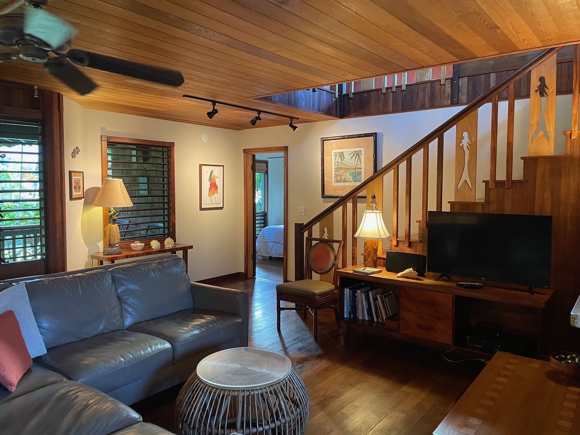 TV, DVD player, books, music library