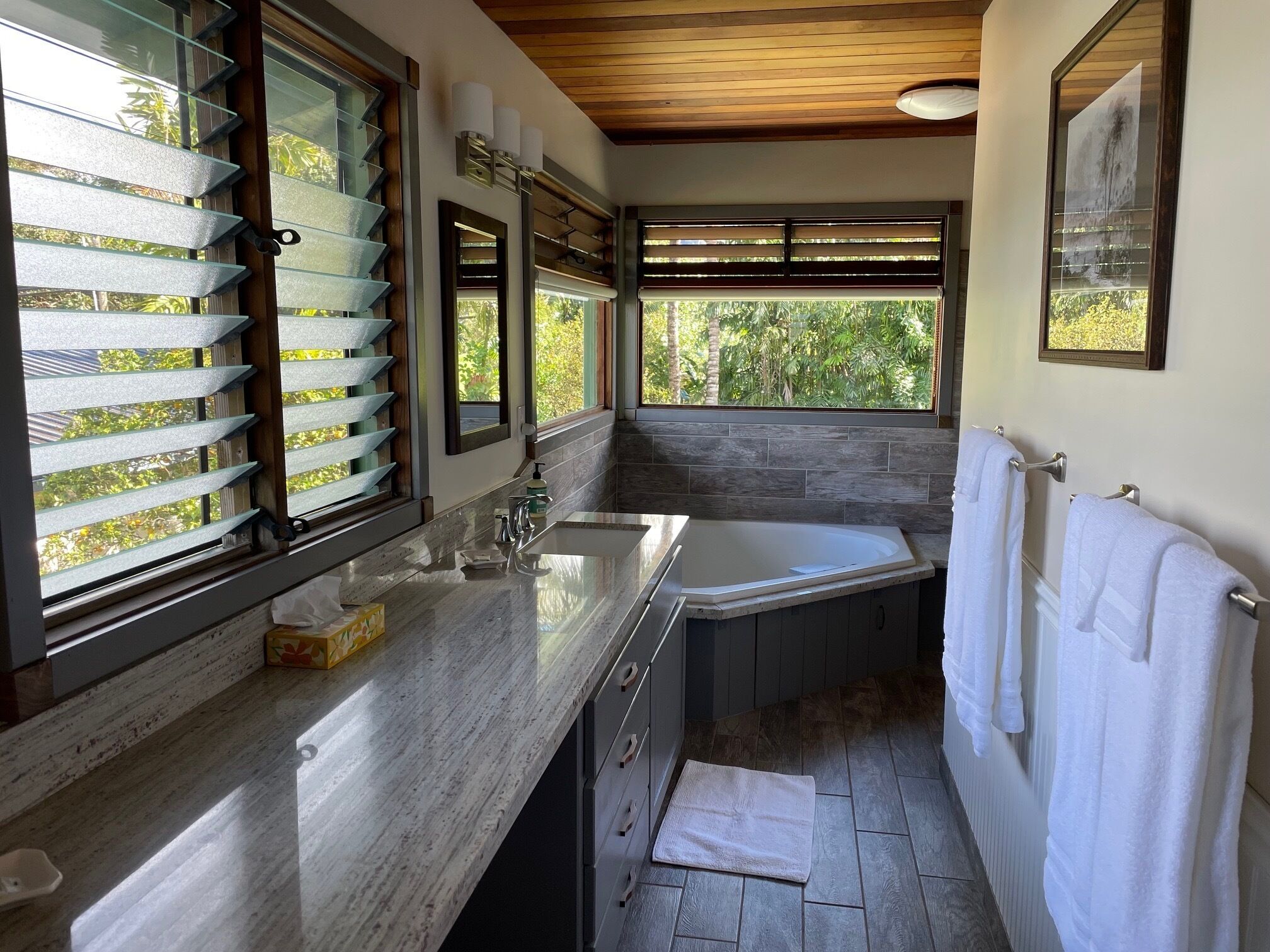 Combined shower/tub, hair dryer, towels, soap