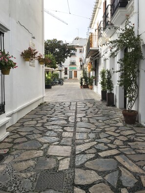 Una calle adoquinada con macetas y un edificio con un letrero que dice "COSTA DO RIO".