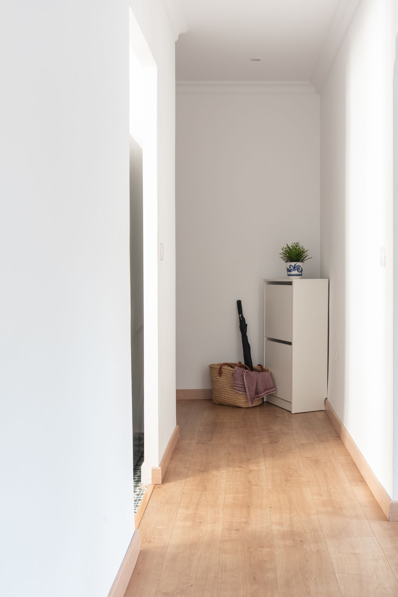 Un pasillo estrecho con suelo de madera, pared blanca y un armario blanco con una planta encima.