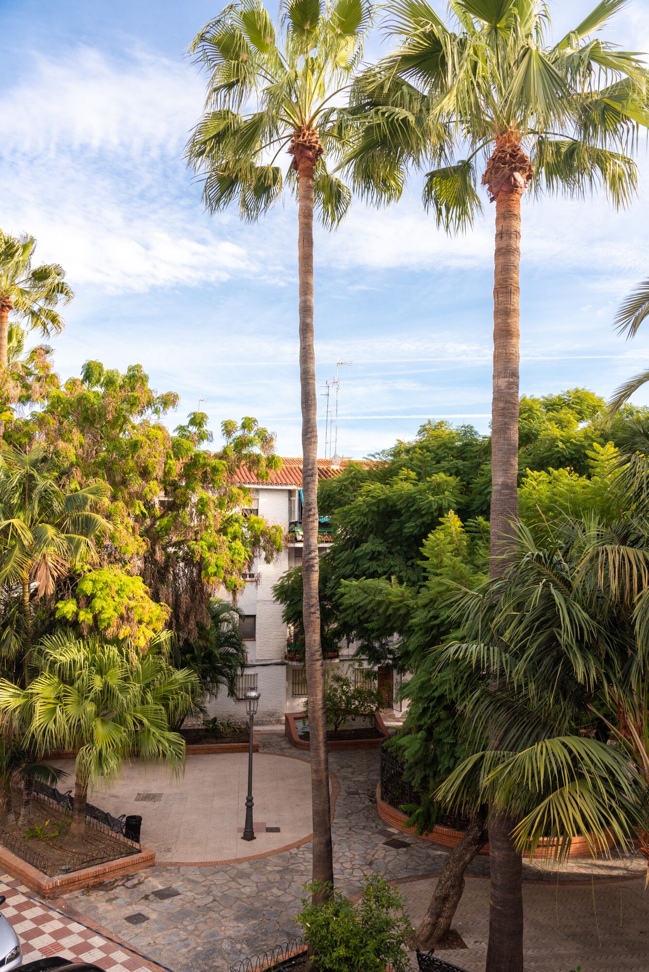 A courtyard with tall palm trees, a stone-paved area, and a building with a tiled roof.