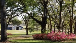 A rural landscape with a large tree, a small building, and pink flowering bushes.
