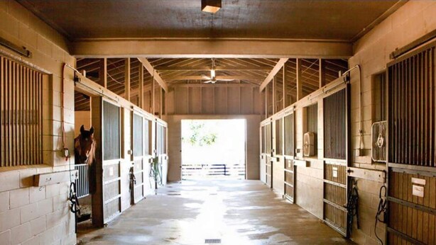 A stable with multiple stalls, each with a door and a window.