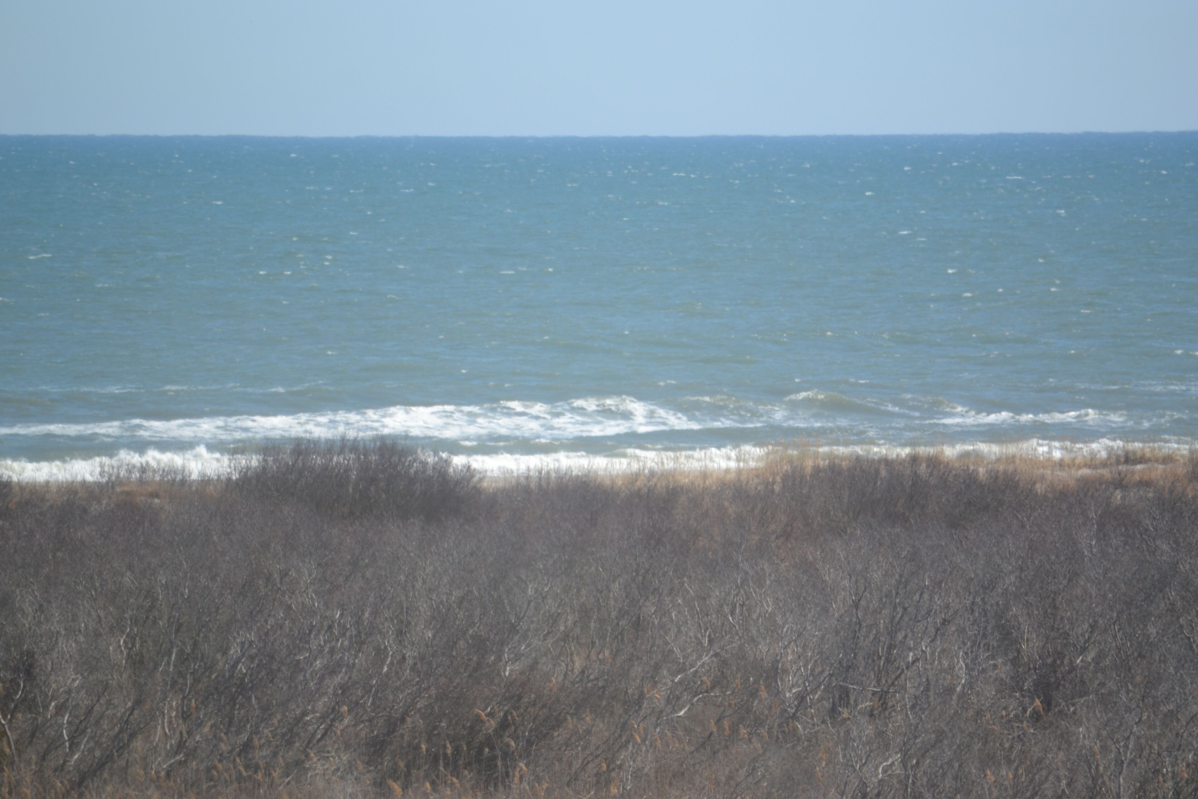 Newly renovated condo, partial views of the ocean