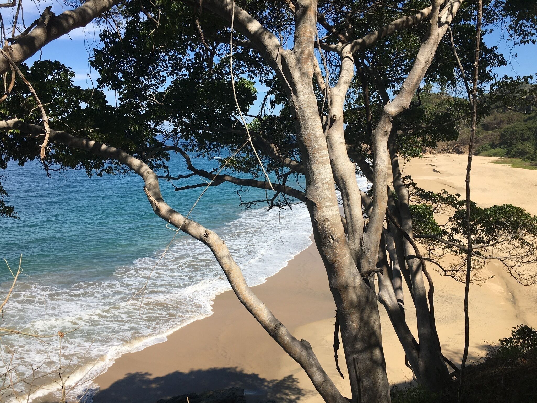 Accommodatie ligt op het strand, ligstoelen, strandlakens