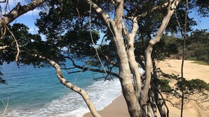 Ein Strand mit klarem, blauem Wasser, sandigem Ufer und Bäumen im Vordergrund.