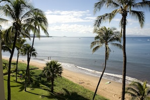 Enjoy stunning ocean views from this beachfront property, surrounded by palm trees and a sandy beach.