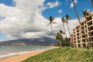 Uma praia com palmeiras e um hotel ao fundo.