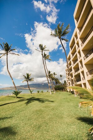Property grounds - Oceanfront Sugar Beach 525 Tropical Condo, on the Beach, (Kihei)