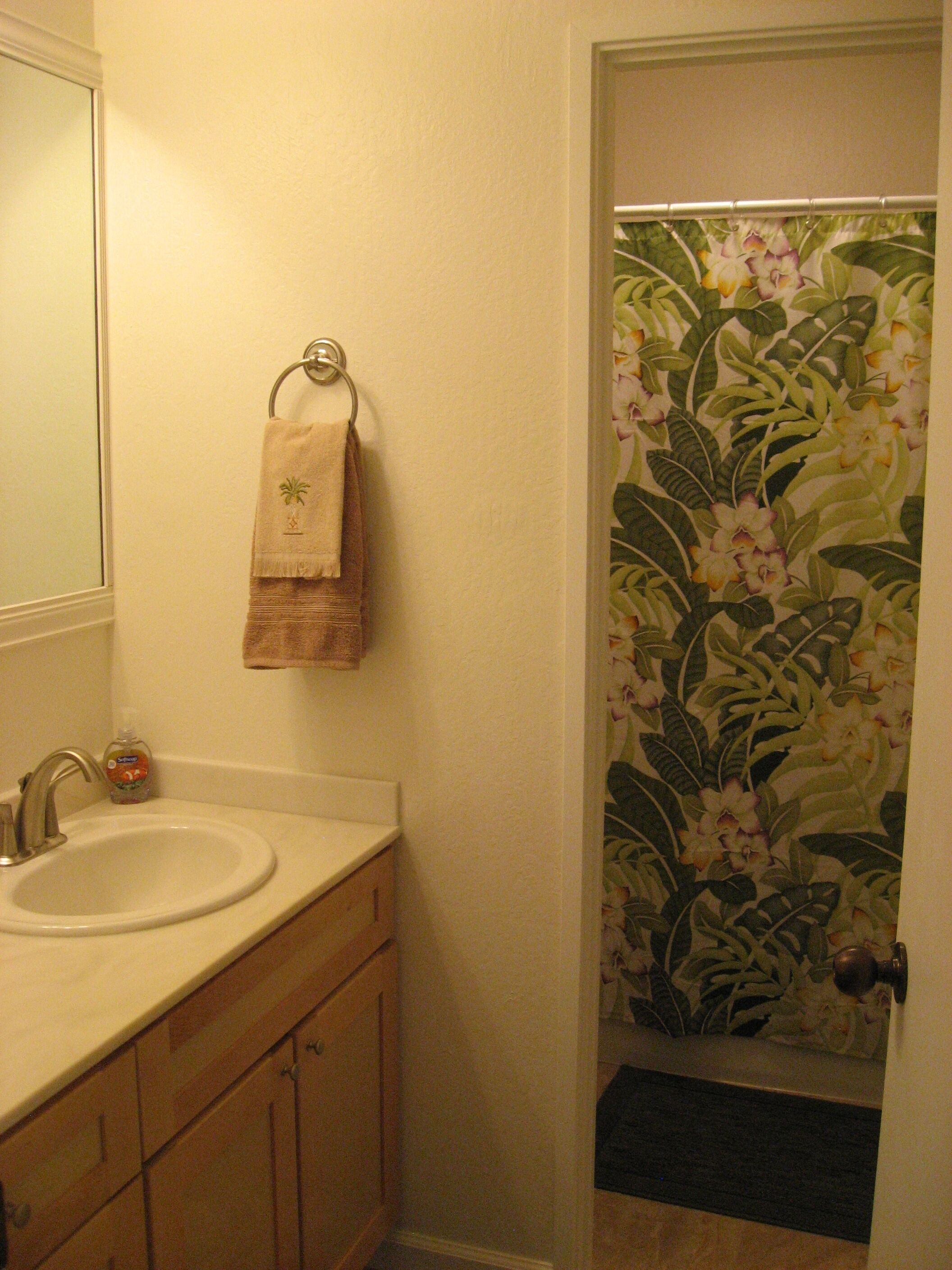 Combined shower/tub, hair dryer, towels, soap