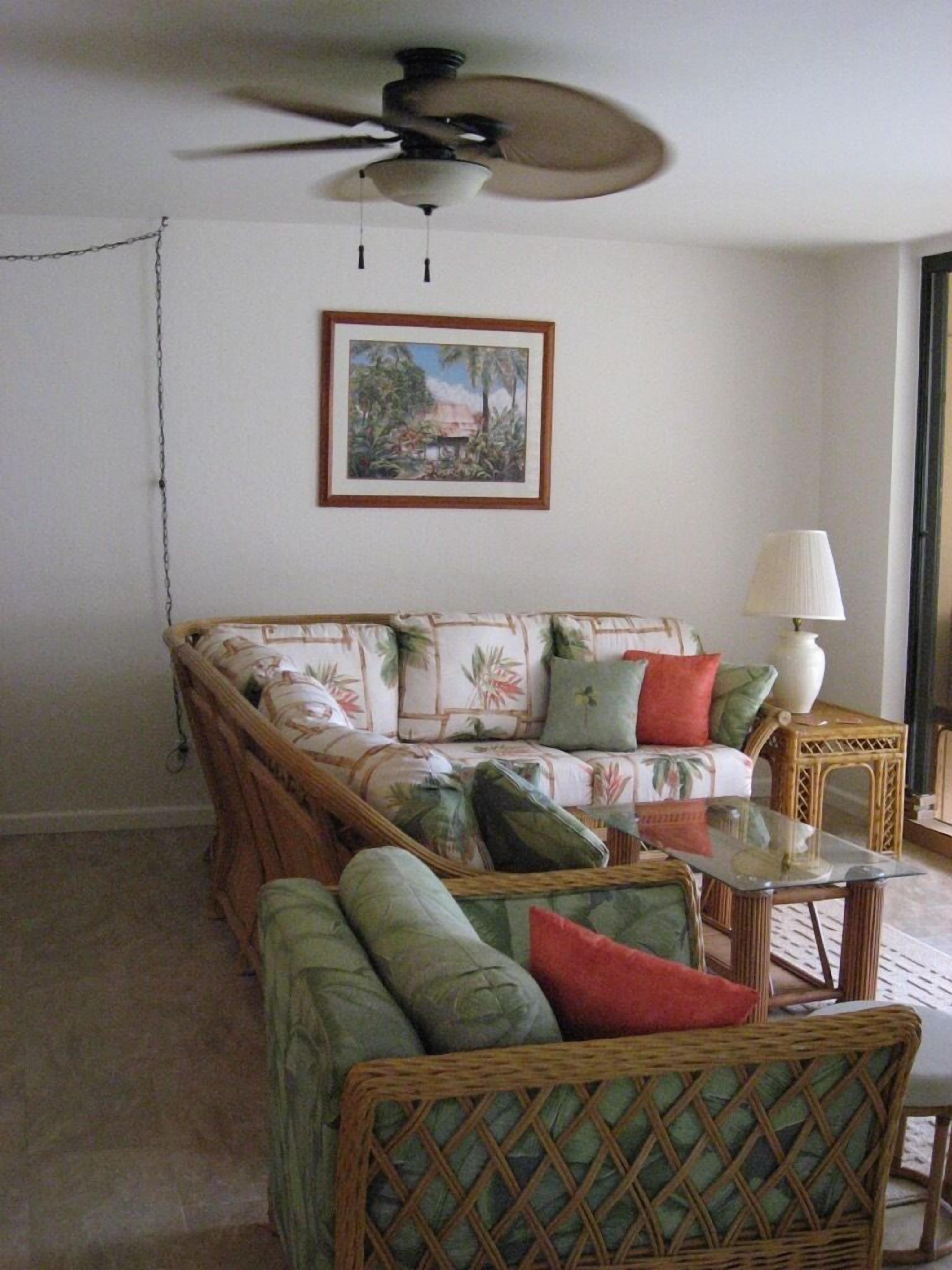 Smart TV, DVD player, books, music library