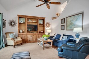 TV connectée, lecteur de DVD, livres, vidéothèque