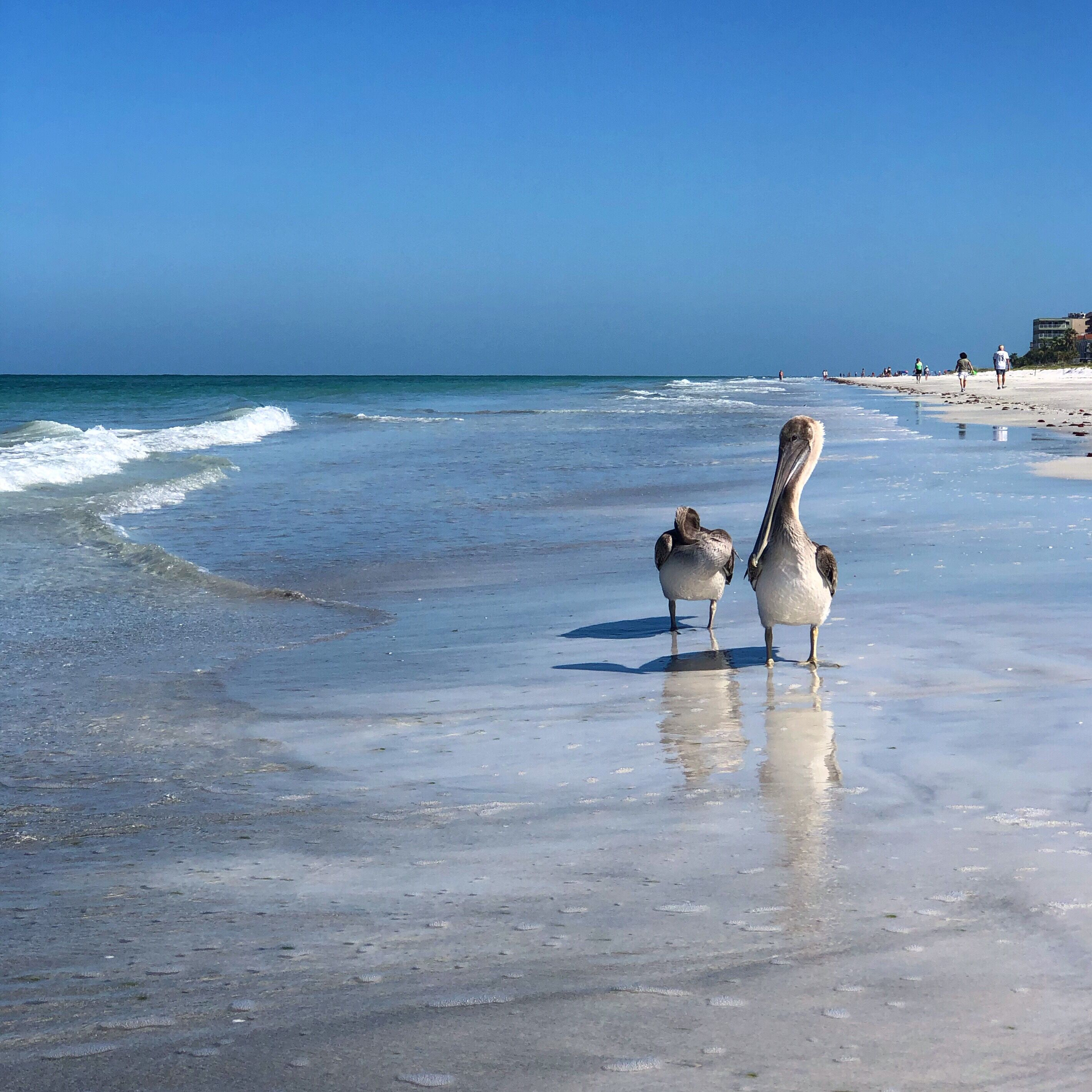 Beach nearby, sun-loungers, beach towels