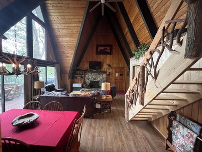 Lakefront Cabin with private Dock -  4 Kayaks - WiFi - Direct TV