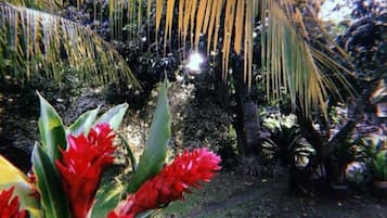 花園