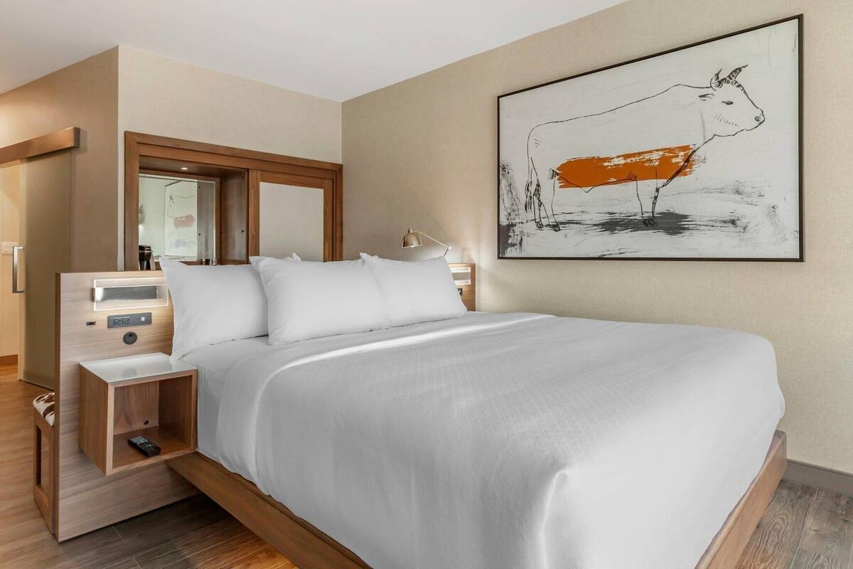 Premium bedding, down comforters, pillowtop beds, desk