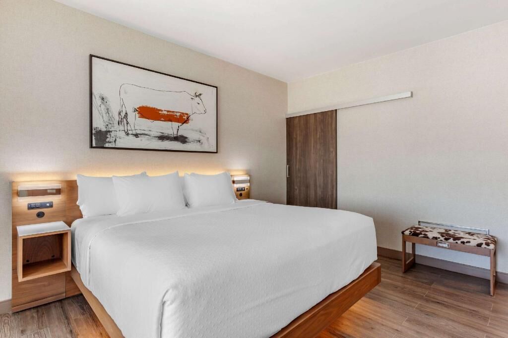 Premium bedding, down comforters, pillowtop beds, desk