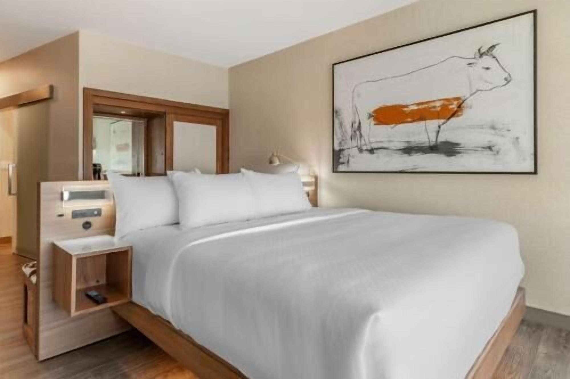 Premium bedding, down comforters, pillowtop beds, desk