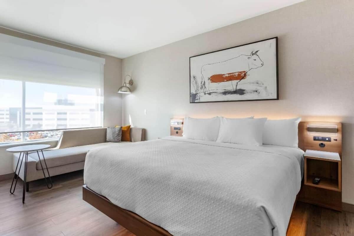 Premium bedding, down duvets, pillow-top beds, desk
